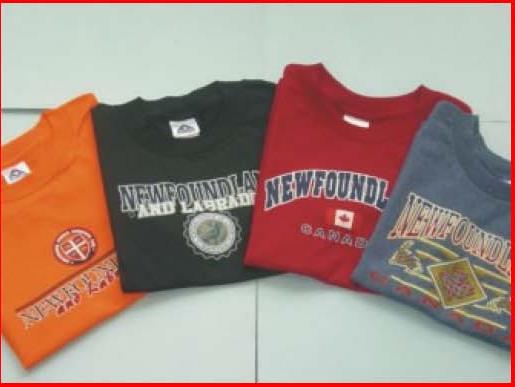 Girls T- Shirts Size L 14 / 16 XL Youth. $5 for the Lot - Paradise,  Newfoundland Labrador
